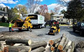 Best Firewood Processing and Delivery  in Gold River, CA